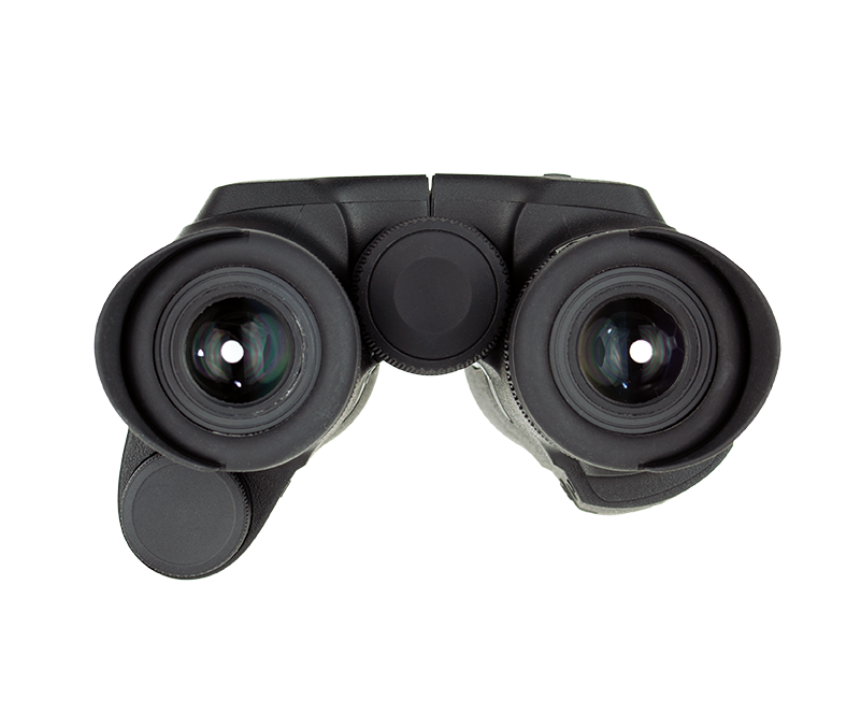 PRISMATICOS STEINER  EDISCOVERY 10X42 