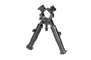 36020031